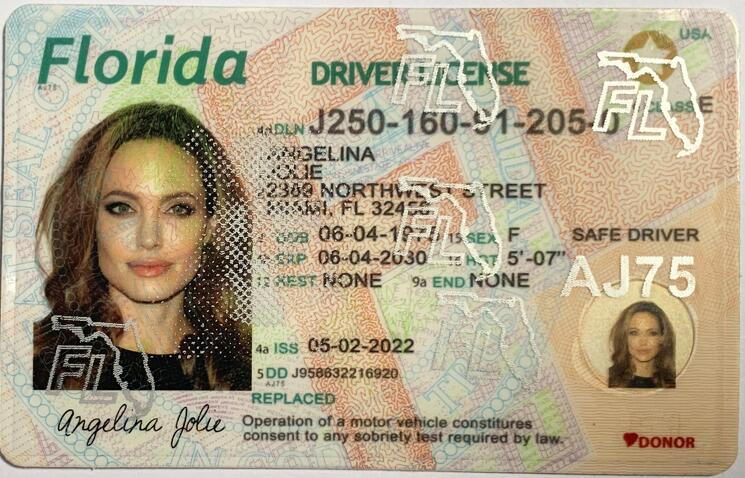 Fake Driving License - Florida