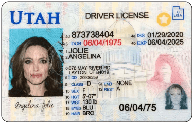 Fake Id
